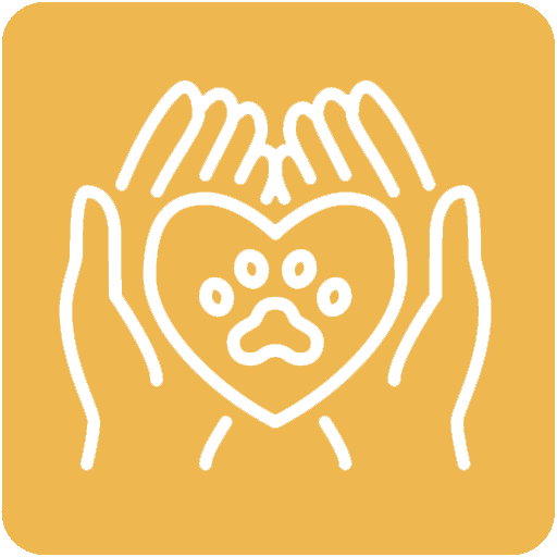 Pet Wellness Hands Holding Heart Icon