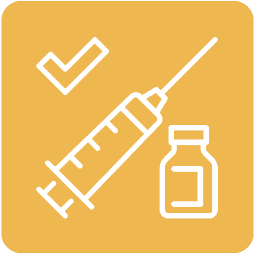 Vaccinations Syringe Icon